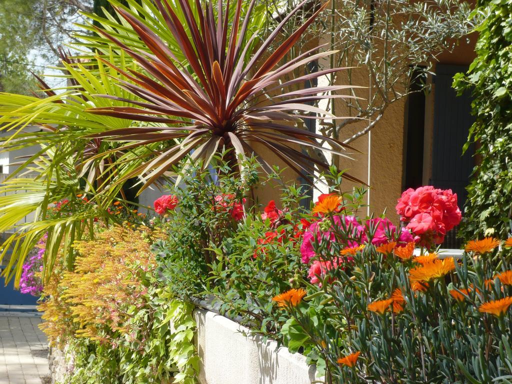 Hotel Mistral Mas-Blanc-des-Alpilles ภายนอก รูปภาพ